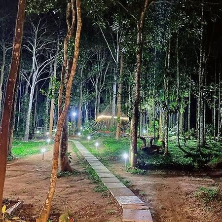 Tall Trees - Modern Forest Villa In Wayanad สุลต่านบาเทรี ภายนอก รูปภาพ