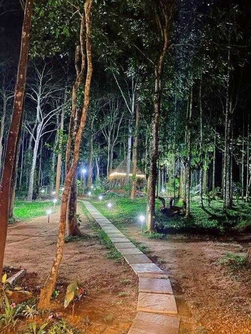 Tall Trees - Modern Forest Villa In Wayanad สุลต่านบาเทรี ภายนอก รูปภาพ