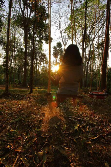 Tall Trees - Modern Forest Villa In Wayanad สุลต่านบาเทรี ภายนอก รูปภาพ
