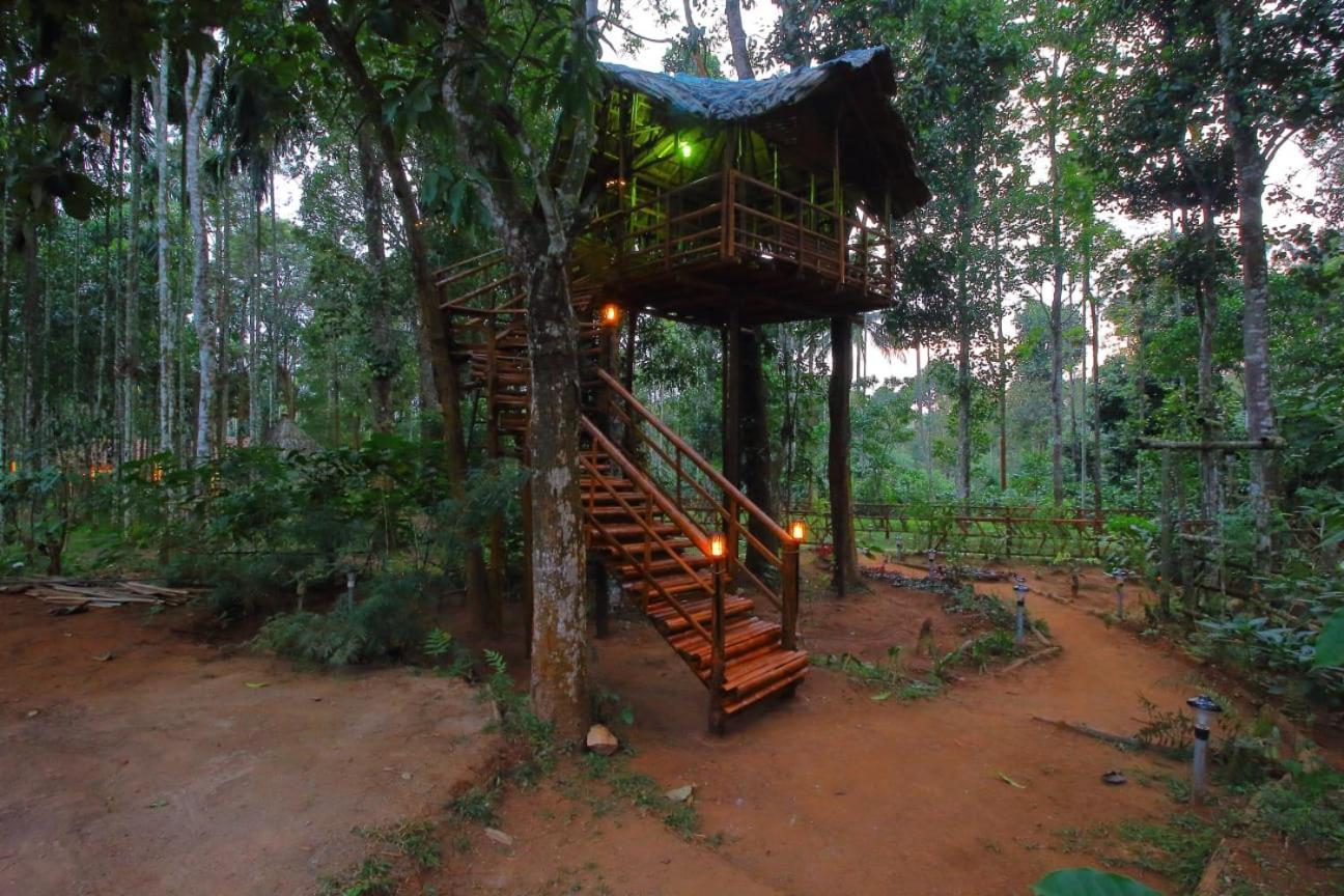 Tall Trees - Modern Forest Villa In Wayanad สุลต่านบาเทรี ภายนอก รูปภาพ