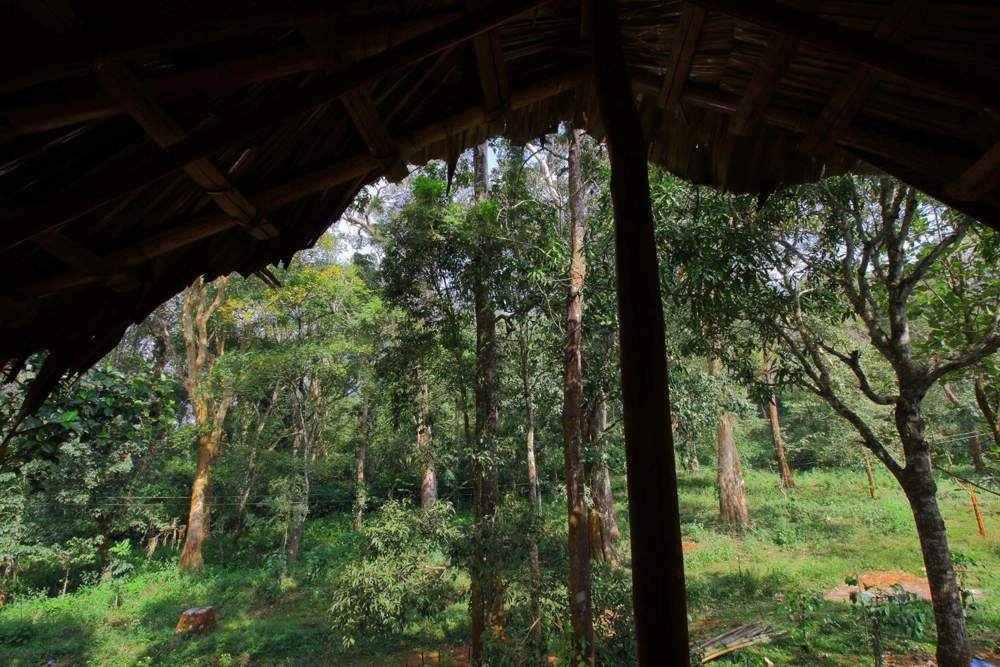 Tall Trees - Modern Forest Villa In Wayanad สุลต่านบาเทรี ภายนอก รูปภาพ