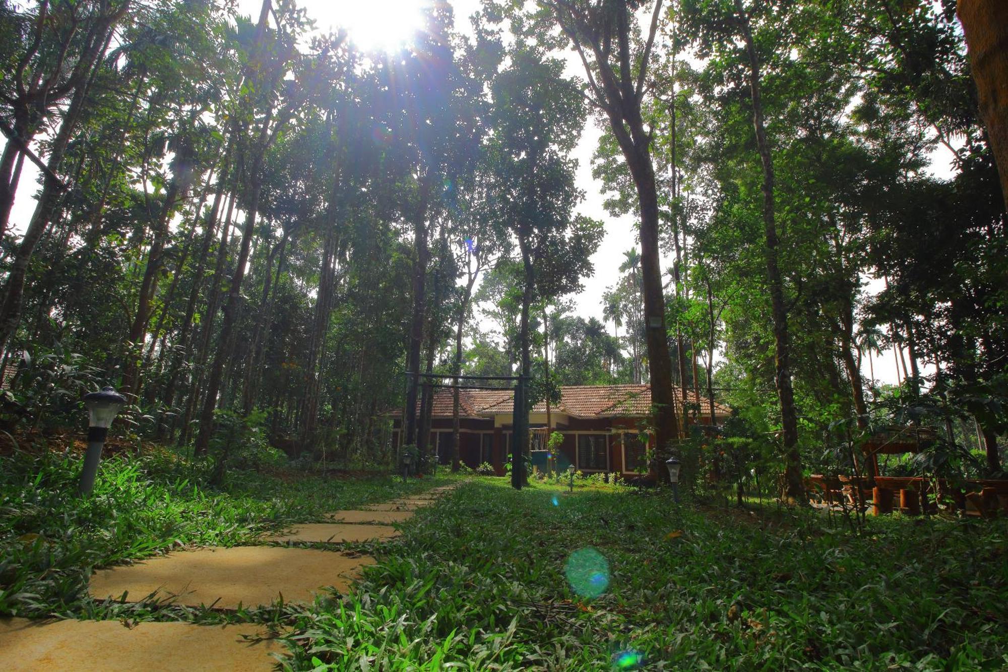 Tall Trees - Modern Forest Villa In Wayanad สุลต่านบาเทรี ภายนอก รูปภาพ